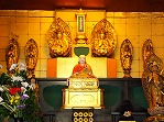 photo100x149