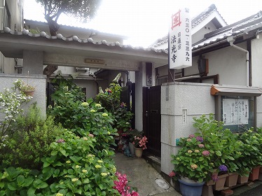 photo280x374