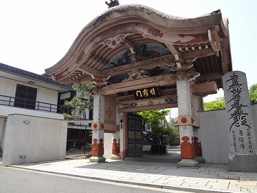photo250x374