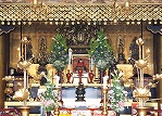 photo100x149